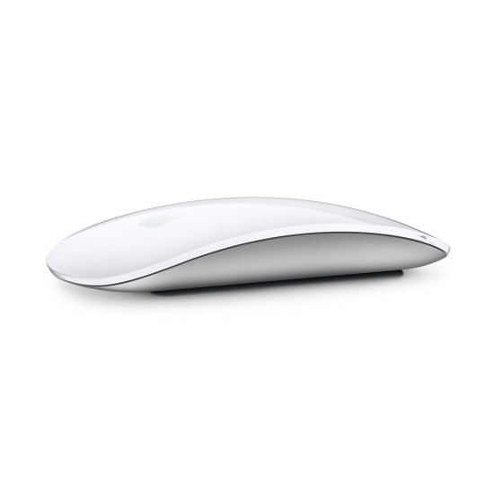 Magic mouse1
